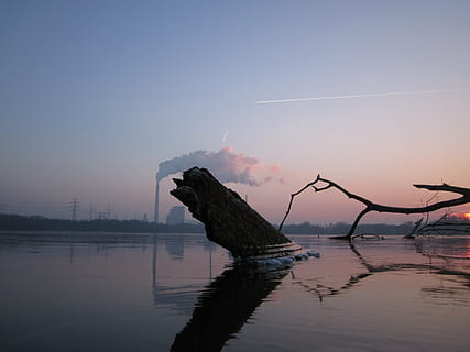 Sonnenuntergang, Winter, geforener, See, Knie Lingen, Karlsruhe, winterlich, Gegenlicht, Nachglühen, Winterstimmung, Sonne, romantisch, Himmel, Winterzauber, Reflexion, Wasser, Silhouette, Dämmerung, Natur, draußen, keine Leute, Ruhe, ruhige Szene, Schönheit in der Natur, Szenen - Natur, Ufergegend, Baum, Nicht-städtische Szene, Tierthemen, Tier, ein Tier, idyllisch, Wirbeltier, tote Pflanze, Treibholz, 4K, CC0, gemeinfrei, lizenzfrei