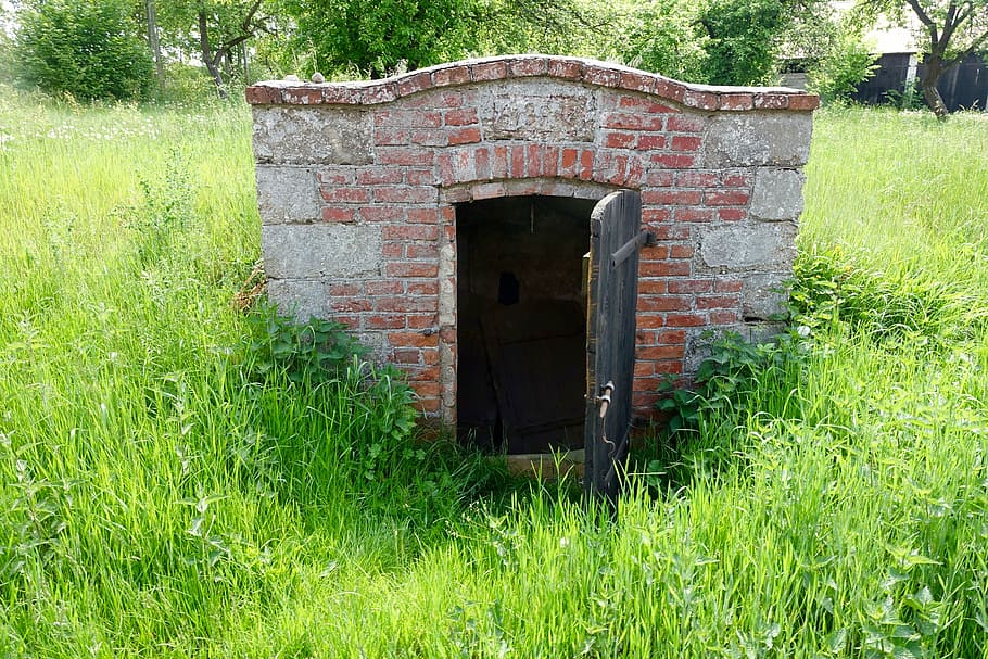 celler, vell, subterrani, maons, porta, planta, herba, arquitectura, estructura construïda, dia, color verd, naturalesa, entrada, cap gent, creixement, abandonat, camp, maó, exterior de l'edifici, terra, edifici, a l'aire lliure, espatllat, paret de pedra, 5K