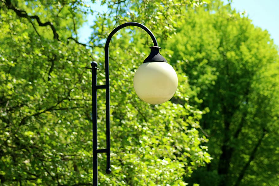 llum de recanvi, il·luminació, parc, llum, llanterna, fanal, arbre, equips d’il·luminació, planta, cap gent, color verd, bombeta, centrar-se en primer pla, llum del carrer, dia, naturalesa, penjant, electricitat, carrer, a l'aire lliure, primer pla, vista d’angle baix, llum elèctrica, vidre - material, sol objecte, branca, 5K
