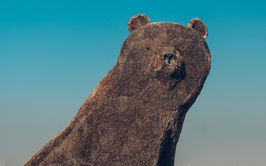 brun bjørn illustrasjon, brun bjørn statue, Bjørn, stein, statue, monument, dyr, dyre temaer, dyreliv, dyr i naturen, pattedyr, ett dyr, ingen folk, natur, virveldyr, dag, under vann, himmel, nærbilde, dyr kroppsdel, utendørs, hav, dyr hode, akvatisk pattedyr, lav vinkel visning, portrett, marine, 2K