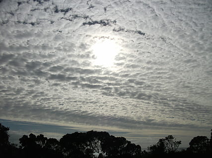 Himmel, Wolken, Winter, Sonne, Natur, Sonnenlicht, draussen, hell, Nebel, wolke - himmel, Baum, Schönheit in der Natur, Ruhe, Pflanze, keine Leute, Szenen - Natur, Flachwinkelansicht, Silhouette, ruhige Szene, idyllisch, draußen, Tag, Sonnenuntergang, Wolkengebilde, hell erleuchtet, 4K, CC0, gemeinfrei, lizenzfrei
