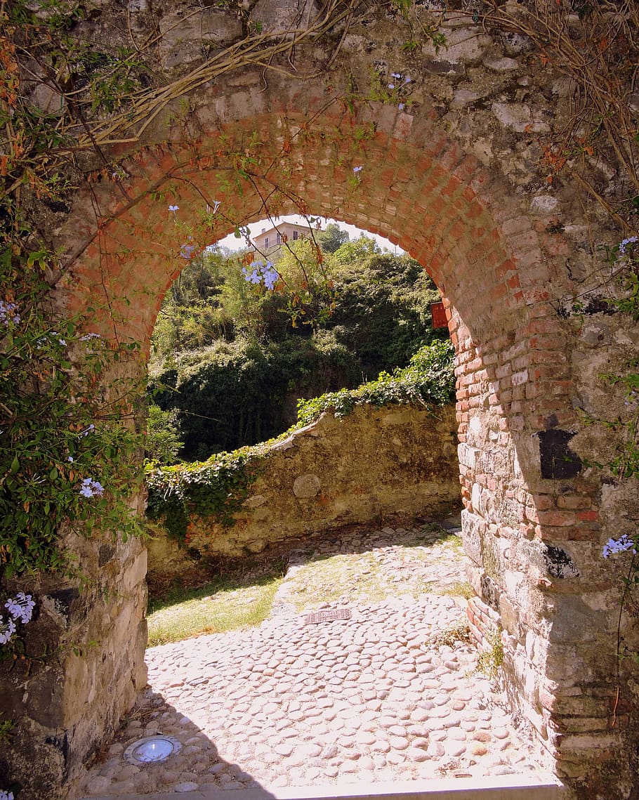 porta, obert, medieval, paret, verd, parets, castell, obertura, arquitectura, arc, planta, estructura construïda, creixement, cap gent, dia, naturalesa, història, el passat, arbre, paret de pedra, direcció, sòlid, a l'aire lliure, maó, el camí a seguir, funció de construcció de parets, edifici, arquejat, arruïnat, 4K
