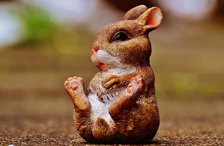 iepure de câmp, iepurașul de Paște, drăguţ, figura, Paști, temă easter, dulce, decor, primăvară, iepuras, animal, natură, maro, veveriţă, în aer liber, animale sălbatice, a închide, să se concentreze asupra primelor elemente, animale tematice, un animal, nici o persoana, zi, mamifer, animale vertebrate, animale în sălbăticie, rozător, animale de companie, intern, pasăre, animale domestice, mustăţi, 5K