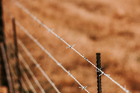 overfladisk, fokus fotografering, barbwires, grå, stål barb wire, hegn, Mark, sikkerhed, pigtråd, spike, gård, Brun, tæt på, dybdeskarphed, natur, udendørs, dyr, tråd, ingen mennesker, grænse, beskyttelse, barriere, metal, dag, baggrunde, landskab, dyr kropsdel, fokus på forgrunden, ranch, 5K, CC0, offentligt domæne, royaltyfrie
