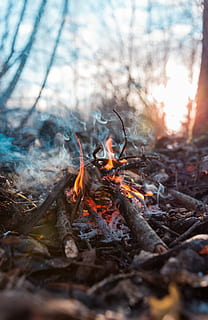 time-lapse fotografie, vreugdevuur, dichtbij, uitzicht, Bos, brand, brandend, boom, vlam, hout, vuur - natuurverschijnsel, natuur, logboek, land-, warmte - temperatuur, hout - materiaal, brandhout, fabriek, geen mensen, dag, Oranje kleur, veld-, buitenshuis, kampvuur, bos-, 2K, CC0, publiek domein, royaltyvrij