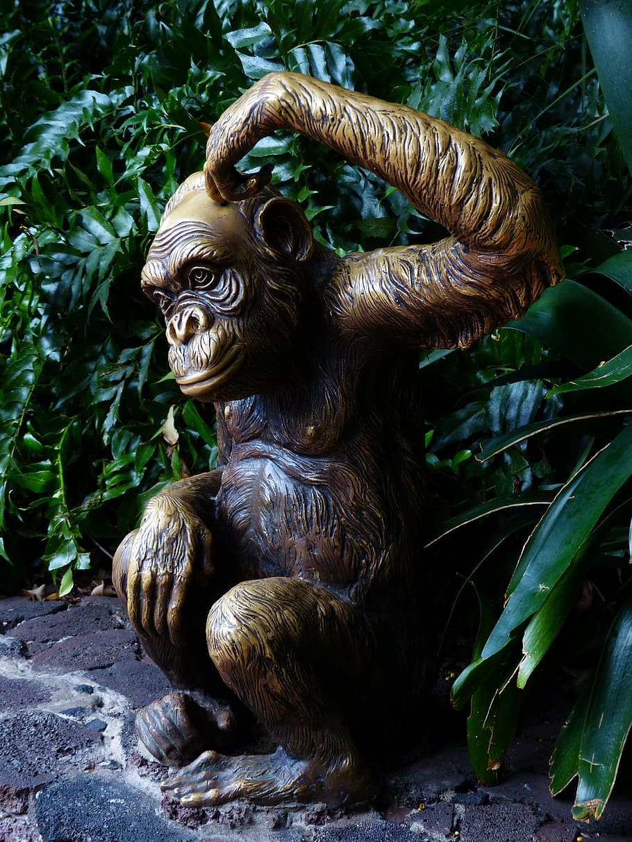 abe, figur, sjov, overveje, chimpanse, bronze statue, bronze, metal, ridset hoved, kradse, pattedyr, dyr, dyre temaer, primat, dag, ingen mennesker, dyreliv, natur, plante, et dyr, hvirveldyr, dyr i naturen, udendørs, grøn farve, kigger væk, leder, fokus på forgrunden, plante del, 4K