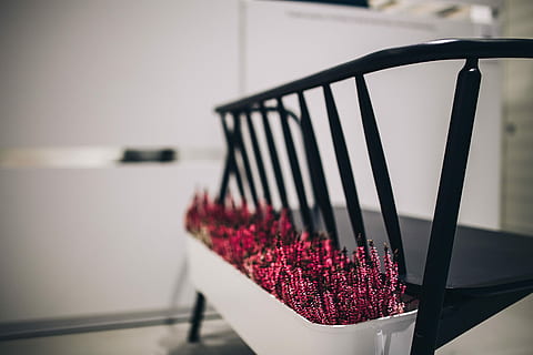 flowerpots, exhibition, Plants, pot, exposition, expo, flowerpot, flower, nature, summer, no People, outdoors, water, focus on foreground, day, close-up, flowering plant, beauty in nature, plant, freshness, fragility, vulnerability, petal, table, railing, selective focus, flower head, purple, flower pot, 5K, CC0, public domain, royalty free