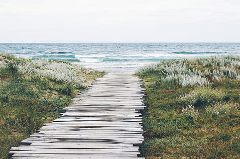 kropp, vann, ved siden av, grønn, gressfotografi, kropp av vann, grønt gress, fotografering, Strand, gress, hav, natur, gangsti, sanddyne, utendørs, kystlinje, marram gress, landskap, ingen folk, sommer, promenaden, scenics, blå, sand, horisont over vann, rolig scene, ro, anlegg, horisont, land, himmel, naturskjønnhet - natur, skjønnhet i naturen, retning, tre - materiale, veien forover, 4K, CC0, offentlig domene, opphavsrett gratis