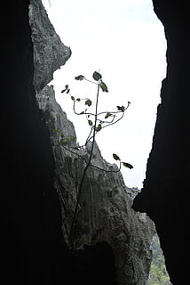 klipper, huler, kalksten, klippe, rock-objekt, skønhed i naturen, rock formation, solid, natur, himmel, dag, bjerg, plante, ro, lav vinkel visning, geologi, ingen mennesker, klint, scenics - natur, fysisk geografi, vækst, rolig scene, eventyr, udendørs, formation, eroderet, 4K, CC0, offentligt domæne, royaltyfrie