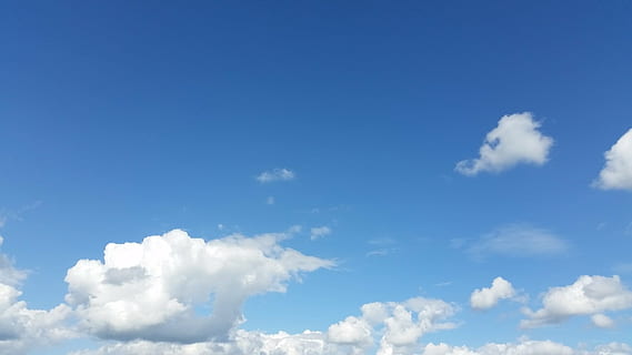 núvols, cel blau, estiu, secció, cel, blau, blanc, naturalesa, núvol - cel, cloudscape, fons, Color blanc, bellesa a la natura, atmosfera, escenics - natura, vent, medi ambient, esponjós, idíl·lic, núvol, llum solar, còpia espai, meteorologia, cap gent, color vibrant, a l'aire lliure, suavitat, netejar, brillant, resum, llibertat, lluminós, clima, efecte texturat, a dalt, 1080P, CC0, domini públic, lliure de regalies