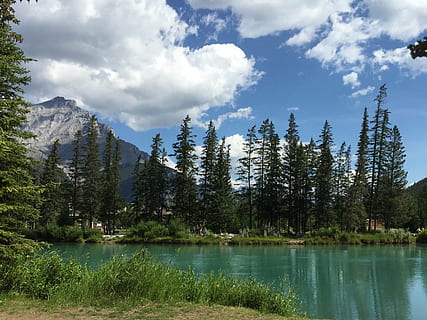 Canada, træ, flod, landskab, natur, dag, eviggrønne træer, skønhed i naturen, scenics - natur, plante, vand, sø, rolig scene, sky - himmel, ro, himmel, vækst, ikke-urbane scene, bjerg, idyllisk, ingen mennesker, afspejling, Skov, fyrretræ, nåletræ, 1080P, CC0, offentligt domæne, royaltyfrie