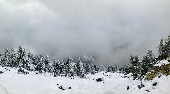 landskapsfotografering, grønn, tre, snø, snødekt, trær, felt, dekket, hunder foto, skog, Sky, vinter, kald, Evergreen, furu, gran, Marmaray, Carpathian, ukrainsk, falle, høst, landskap, natur, kaldtemperatur, skjønnhet i naturen, naturskjønnhet - natur, anlegg, sky - himmel, land, miljø, ingen folk, himmel, ro, rolig scene, fjell, dag, utendørs, ekstremt vær, snowing, snødekte fjell, klima, 4K, CC0, offentlig domene, opphavsrett gratis