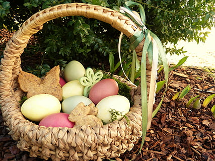 clutch, poultry eggs, wicker basket, easter nest, easter eggs, colored, osterkorb, garden, looking for easter basket, cookies, butterflies, rabbit, easter bunny, family, easter, children, spring, easter greeting, nature, of course, bio, healthy, egg, basket, food and drink, no people, outdoors, healthy eating, day, food, freshness, close-up, container, wellbeing, still life, choice, variation, plant, high angle view, large group of objects, fruit, leaf, 4K, CC0, public domain, royalty free