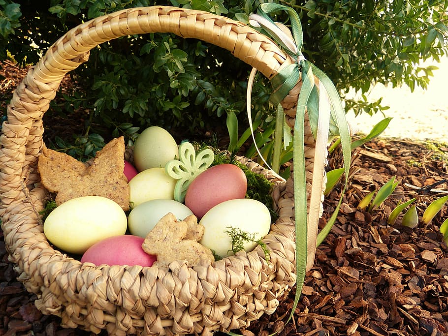 embragatge, ous de pollastre, cistella de vímet, niu de Pasqua, ous de Pasqua, de colors, osterkorb, jardí, buscant cistella de Pasqua, cookies, papallones, conill, conill de Pasqua, família, Pasqua, nens, primavera, salutació de pasqua, naturalesa, és clar, bio, saludable, ou, cistella, menjar i beguda, cap gent, a l'aire lliure, alimentació saludable, dia, menjar, frescor, primer pla, contenidor, benestar, natura morta, elecció, variació, planta, vista d’angle alt, gran grup d'objectes, fruita, full, 4K