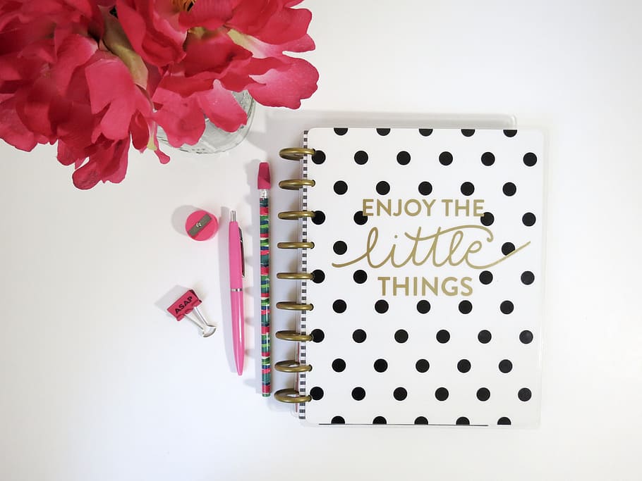 Weiß, schwarz, Notizbuch, Planer, Tagebuch, Veranstalter, Organisation, Rosa, Blume, blühende Pflanze, Pflanze, Studioaufnahme, drinnen, Nahansicht, keine Leute, weißer Hintergrund, Anordnung, pinke Farbe, große gruppe von gegenständen, Muster, Schönheit in der Natur, Stillleben, Natur, Frische, Zerbrechlichkeit, Container, direkt darüber, Blütenblatt, 4K