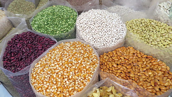 variety of seeds, grain, corn, beans, seed, natural, healthy, cereal, fresh, vegetable, harvesting, health, food, farm, nature, organic, vegetarian Food, raw Food, dry, agriculture, lentil, healthy Eating, ingredient, food and drink, choice, variation, freshness, retail, market, abundance, wellbeing, large group of objects, for sale, market stall, no people, high angle view, spice, close-up, container, arrangement, still life, retail display, 1080P, CC0, public domain, royalty free