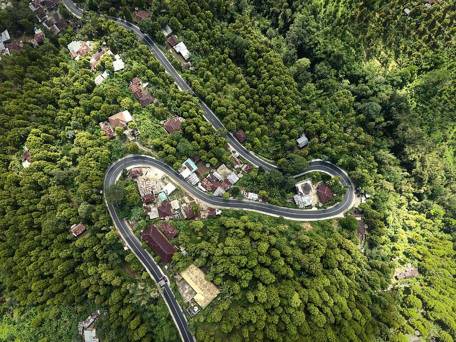 antenne, se fotografering, asfaltvej, luftfoto, grå, beton, vej, omkringliggende, træer, bøje, træ, Skov, huse, hjem, indonesium, kurvet, jungle, drone, bali, landsby, hus, plante, høj vinkel visning, transportmidler, grøn farve, vækst, natur, dag, skønhed i naturen, arkitektur, ingen mennesker, udendørs, jord, transportform, land køretøj, by, bygget struktur, 4K