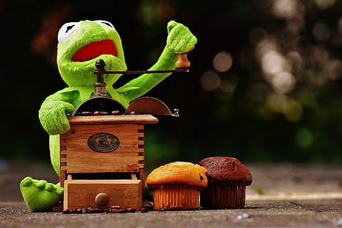 kermit, varlė, malūnėlis, kavos pupelės, sumalkite, juokinga, mielas, žaislai, žalias, minkštas žaislas, iškamša, skaičius, mediena - medžiaga, maisto, Maistas ir gėrimai, sveika mityba, vaisiai, nėra žmonių, žaislas, žalia spalva, pobūdį, obuolių vaisiai, daržovių, šviežumas, gerovę, Iš arti, kūrybiškumas, sutelkti dėmesį į naujas žinias, senas, augalų, 5K, CC0, Viešasis domenas, nemokamai