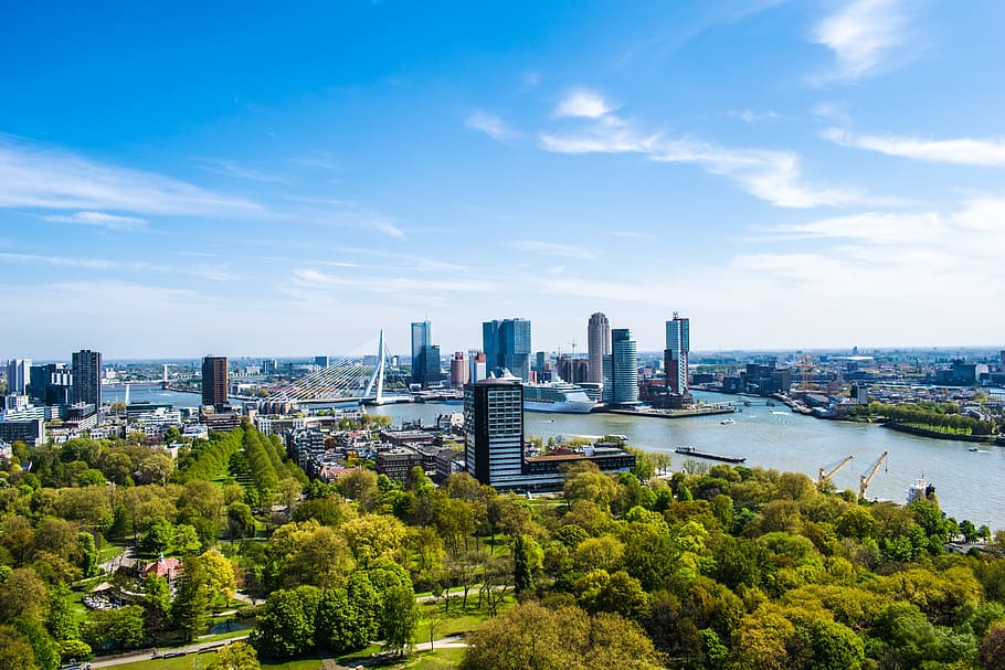 Rotterdam, vista, torre, arquitectura, paisatge urbà, pont, ciutat, Països Baixos, europa, Holanda, horitzó, edifici, exterior de l'edifici, estructura construïda, cel, horitzó urbà, paisatge, arbre, exterior d’edifici d’oficines, modern, gratacels, naturalesa, planta, cap gent, núvol - cel, barri residencial, destinacions de viatge, districte del centre de la ciutat, a l'aire lliure, districte financer, 1080P