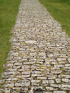 struttura, castello di corfe, dorset, sentiero, castello di corfe, Dorset, pietra, modo, agricoltura, scena rurale, all'aperto, campo, natura, nessuno, direzione, giorno, la strada davanti, erba, pianta, architettura, parete, strutturato, vista dall'alto, solido, materiale lapideo, di fila, terra, strada, prospettiva decrescente, muro di pietra, pavimentazione in pietra, 2K, CC0, dominio pubblico, privo di copyright