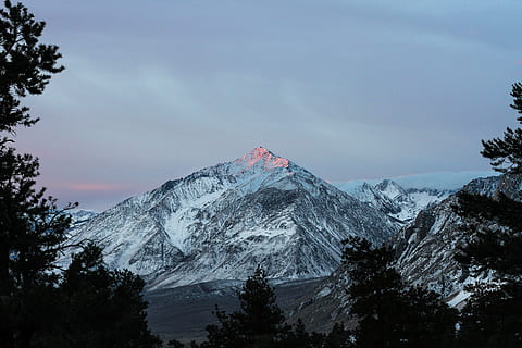 Foto, bjerg alper, rock bjerg, dækket, sne, god morgen, mount whitney, bjerg, spids, topmøde, Snowcap, træ, natur, bjergtop, vinter, scenics, bjergkæde, landskab, udendørs, himmel, ingen mennesker, skønhed i naturen, kold temperatur, scenics - natur, ro, rolig scene, snedækket bjerg, sky - himmel, ikke-urbane scene, plante, idyllisk, 5K, CC0, offentligt domæne, royaltyfrie