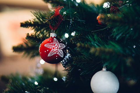 fokus fotografering, rød, juleknude, hængende, juletræ, advent, baggrund, bold, briks, sløret, fejre, fest, jul, tæt på, koncept, december, indretning, juledekoration, ferie, jul ornament, dekoration, træ, plante, ferie - begivenhed, fokus på forgrunden, begivenhed, ingen mennesker, natur, afdeling, nåletræ, fyrretræ, udsmykkede, 5K, CC0, offentligt domæne, royaltyfrie