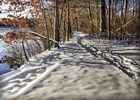 schneebedeckter Weg, Pfad, Schnee, Spur, Winter, Pavillon, kalt, Natur, Frost, Landschaft, gefroren, Baum, kalte Temperatur, Land, Pflanze, der Weg nach vorn, Richtung, Ruhe, Tag, Abdeckung, keine Leute, Sonnenlicht, Schatten, Wald, ruhige Szene, Kofferraum, Baumstamm, draußen, abnehmende Perspektive, lange, 4K, CC0, gemeinfrei, lizenzfrei
