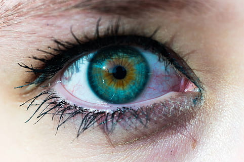 tancar, foto, esquerra, humà, ull, dret humà, color, iris, vista, ull humà, part del cos humà, pestanya, iris - ull, mirant la càmera, primer pla, part del cos, percepció sensorial, una persona, ulls blaus, adult, primer pla extrem, globus ocular, marc complet, retrat, rostre humà, macro, cella, parpella, 1080P, CC0, domini públic, lliure de regalies