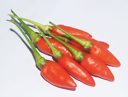 merah, hijau, warna, bumbu, cabai rawit, cabai, merapatkan, segar, kesegaran, tumbuh, makro, membumbui, rempah-rempah, pedas, sayur-mayur, makanan, makanan dan minuman, tembakan studio, lada, makan sehat, kesejahteraan, latar belakang putih, dalam ruangan, masih hidup, cabai merah, warna hijau, tidak ada orang, sekelompok objek, tomat, matang, 2K, CC0, domain publik, bebas royalti