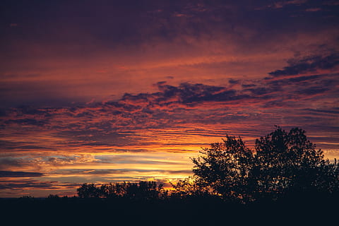 puesta de sol, cielo, rojo, nubes, paisaje, noche, oscuridad, cielo del atardecer, fondo del atardecer, nube - cielo, árbol, belleza en la naturaleza, silueta, paisajes - naturaleza, tranquilidad, planta, color naranja, escena tranquila, naturaleza, cielo dramático, nadie, idílico, temor, al aire libre, oscuro, majestuoso, cielo romantico, 5K, CC0, dominio público, libre de derechos