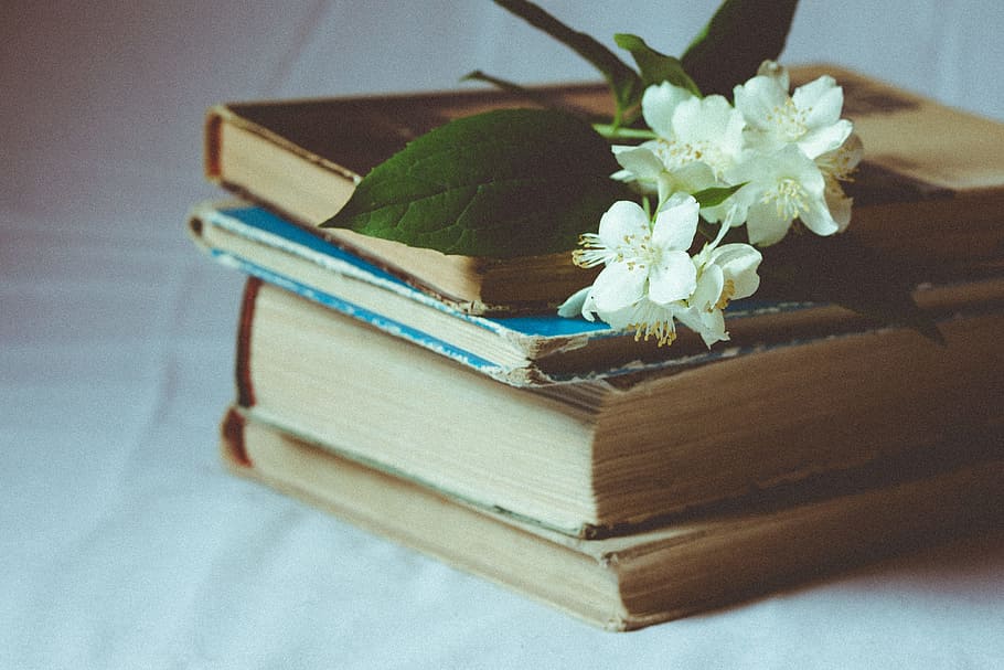 blanc, flors, llibres, selectiu, focalitzar la fotografia, marró, endurit, llibre, enfocament selectiu, fotografia, Stephanotis, llibre en trànsit dur, literatura, bíblia, educació, pàgina, flor, cap gent, a l'interior, taula, material de fusta, planta amb flors, planta, publicació, primer pla, naturalesa, frescor, natura morta, bellesa a la natura, centrar-se en primer pla, saviesa, vulnerabilitat, contenidor, fragilitat, cap de flor, safata, 4K
