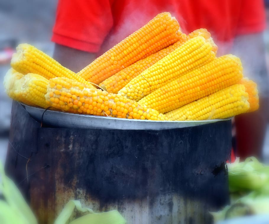 milho, tradicional, doce, vegetal, amarelo, fresco, saudável, Comida, saboroso, delicioso, cozinhou, milho na espiga, comida e bebida, frescura, milho doce, fechar-se, dia, Alimentação saudável, focar em primeiro plano, foco seletivo, bem-estar, recipiente, ao ar livre, uma pessoa, pessoas reais, pilha, 2K