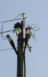 Elektryczność, słupek, drut, izolatory, niski kąt widzenia, niebo, Natura, światła, sprzęt oświetleniowy, czyste Niebo, żadnych ludzi, roślina, dzień, ulica, Polak, na dworze, liść, część rośliny, metal, niebieski, wzrost, drzewo, Oddział, światło, linia telefoniczna, 4K, CC0, domena publiczna, darmowe zdjęcia
