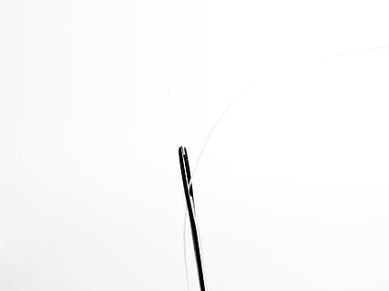 Needle And Thread, Sew, needle, thread, hand labor, yarn, stuff, sewing thread, patch, twist, repair, nähutensilien, tailoring, thread spool, handarbeiten, bobbin, middle east, equipment, single Object, white, copy space, no people, white background, studio shot, close-up, indoors, abstract, cut out, backgrounds, still life, simplicity, pattern, design, nature, full frame, curve, white color, black color, 2K, CC0, public domain, royalty free