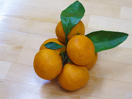 Orange, fruit, des suites, alimentation saine, aliments, Nourriture et boisson, agrumes, bien-être, couleur orange, fraîcheur, à l'intérieur, sol, vue grand angle, nature morte, personne, citron, table, tuile, carrelage, feuille, 4K, CC0, domaine public, libre de droits