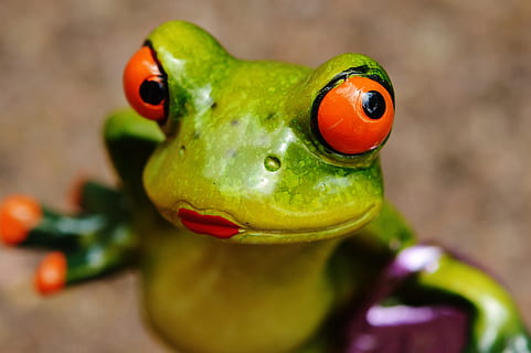 Frosch, Küken, lustig, süß, Süss, Spaß, Zahl, schließen, Augen, Darstellung, Tierdarstellung, Tier, Spielzeug, Tierthemen, Fokus auf den Vordergrund, Nahansicht, Wirbeltier, ein Tier, keine Leute, Tierwelt, Figur, drinnen, Humor, ausgestorben, grüne Farbe, Amphibie, rot, Tierkopf, 5K, CC0, gemeinfrei, lizenzfrei