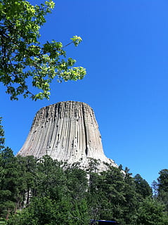 torre dels dimonis, arbre, cel, torre, wyoming, nacional, monument, rock, referència, parc, formació, turisme, a l'aire lliure, paisatge, planta, blau, naturalesa, vista d’angle baix, cel clar, bellesa a la natura, cap gent, creixement, dia, tranquil·litat, color verd, escenics - natura, escena tranquil·la, còpia espai, muntanya, llum solar, 2K, CC0, domini públic, lliure de regalies