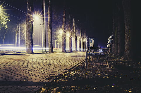 bench, contours, light, lights, night, park, pavement, sidewalk, street, street lights, streets, trees, illuminated, architecture, tree, no people, street light, city, built structure, glowing, lighting equipment, transportation, nature, the way forward, footpath, direction, outdoors, plant, building exterior, park bench, 4K, CC0, public domain, royalty free