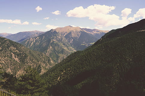 montagne coperte verdi, uccello, vista dell'occhio, montagne, montagna, picco, catena montuosa, foresta, nube, all'aperto, albero, alp, roccia, soleil, nuage, natura, passaggio, montare, tranquillo, cielo, scenics - natura, ambiente, bellezza nella natura, paesaggio, nuvola - cielo, terra, la tranquillità, pianta, scena tranquilla, nessuno, valle, scena non urbana, albero di conifere, Pino, picco di montagna, bosco di pini, 4K, CC0, dominio pubblico, privo di copyright