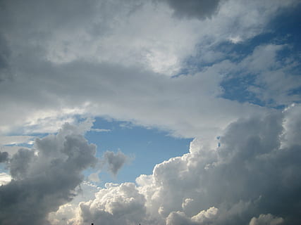 nori, cer, nori întunecați, alb, enorm, albastru, cumulus nori, cumuli, natură, vreme, fundaluri, în aer liber, nor - cer, aer, zi, vară, Cloudscape, acoperit de nori, climat, frumusețe în natură, scenice - natura, vedere unghiulară joasă, liniște, nici o persoana, culoare alba, idilic, o scenă liniștită, pufos, lumina soarelui, moliciune, de mai sus, meteorologie, 2K, CC0, domeniu public, fără drepturi de autor