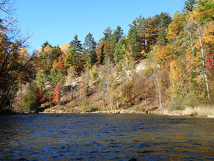 fiume, autunno, paesaggio, all'aperto, ruscello, panoramico, ottobre, foglia, Michigan, Manistee, albero, pianta, bellezza nella natura, la tranquillità, scena tranquilla, acqua, scenics - natura, crescita, giorno, cielo, natura, lungomare, nessuno, scena non urbana, terra, idilliaco, foresta, cielo sereno, modificare, acqua corrente, fluente, 4K, CC0, dominio pubblico, privo di copyright
