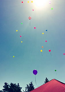 풍선, 흙손, 축하, 색깔, 하늘, 여행, 선명한, 화려한, 푸른, 나는, 높은, 집 밖의, 세상에 알리다, 빨간, 멀티 컬러, 옥외, 휴일, 장난, 변화, 공중, 낮은 각도보기, 자연, 맑은 하늘, 아무도, 일, 장식, 헬륨 풍선, 나무, 햇빛, 큰 개체 그룹, 식물, 행사, 렌즈 플레어, 제전, 풍선 축제, 2K, CC0, 공개 도메인, 로열티 무료