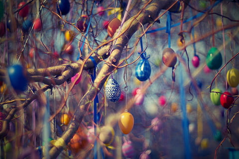 assorted, egg shell decors, easter eggs, easter, tree, willow, eggs, spring, color eggs, the tradition of, colors, whip, easter time, egg, holiday, colored, blue, red, green, plant, branch, growth, food, food and drink, no people, fruit, nature, day, selective focus, close-up, healthy eating, hanging, focus on foreground, outdoors, twig, multi colored, plant part, leaf, 4K, CC0, public domain, royalty free