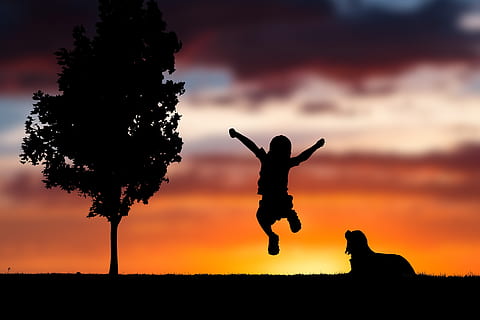 foto de la silueta, noia, saltar, al costat, fons de pantalla d’arbre, cel, núvols, taronja, posta de sol, silueta, gos, cadell, mascota, animal, noi, nen, una persona, braç humà, color taronja, naturalesa, braços aixecats, longitud completa, activitat d'oci, membre, un animal, homes, mascotes, llibertat, caní, planta, a l'aire lliure, extremitat humana, 5K, CC0, domini públic, lliure de regalies