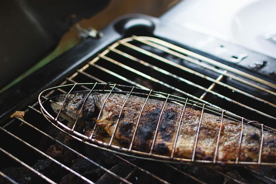 peix a la brasa, a la graella, peix, primer pla, Barbacoa, menjar, cuinar, carn, calor - temperatura, sopar, gourmet, bistec, cap gent, menjar i beguda, a l'interior, frescor, dia, preparació, enfocament selectiu, metall, centrar-se en primer pla, instrument de corda, vista d’angle alt, instrument musical, música, 5K