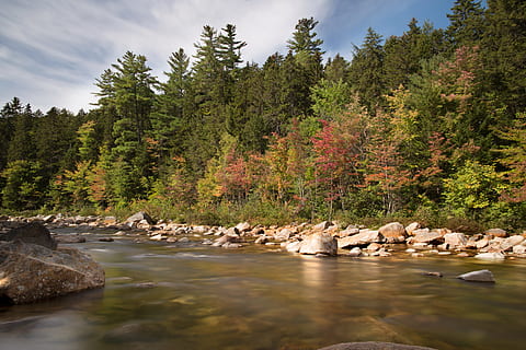 naturaleza, agua, rocas, bosque, otoño, luz, al aire libre, río, escénico, corriente, arboles, árbol, planta, belleza en la naturaleza, rock, sólido, paisajes - naturaleza, roca - objeto, nadie, día, tierra, tranquilidad, escena tranquila, cielo, escena no urbana, crecimiento, agua que fluye, 5K, CC0, dominio público, libre de derechos