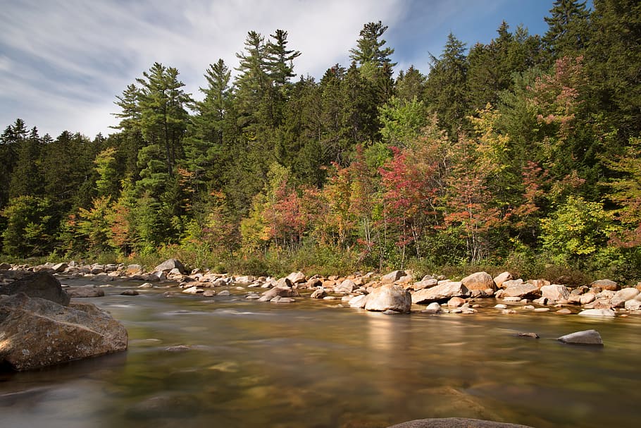 naturaleza, agua, rocas, bosque, otoño, luz, al aire libre, río, escénico, corriente, arboles, árbol, planta, belleza en la naturaleza, rock, sólido, paisajes - naturaleza, roca - objeto, nadie, día, tierra, tranquilidad, escena tranquila, cielo, escena no urbana, crecimiento, agua que fluye, 5K