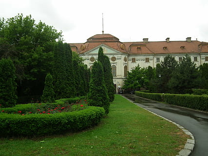 escursione, Transilvania, costruzione, architettura, pianta, albero, esterno dell'edificio, struttura costruita, colore verde, crescita, natura, giardino, erba, giardino formale, cielo, nessuno, giorno, fiore, siepe, prato, pianta fiorita, bellezza nella natura, all'aperto, giardino ornamentale, percorso del giardino, 2K, CC0, dominio pubblico, privo di copyright