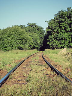 pista, Camí, tren, arbres, cel, arbre, naturalesa, verd, paisatge, al matí, vista, estiu, Bohemia del sud, bosc, Bohèmia, parada, cel blau, herba, país, transport per ferrocarril, planta, vies del ferrocarril, transport, creixement, color verd, cel clar, terra, dia, el camí a seguir, cap gent, transport públic, direcció, medi ambient, perspectiva decreixent, a l'aire lliure, 2K, CC0, domini públic, lliure de regalies