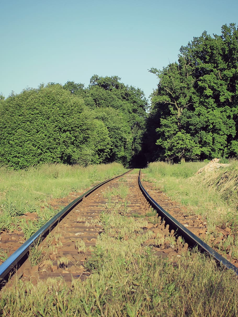 pista, Camí, tren, arbres, cel, arbre, naturalesa, verd, paisatge, al matí, vista, estiu, Bohemia del sud, bosc, Bohèmia, parada, cel blau, herba, país, transport per ferrocarril, planta, vies del ferrocarril, transport, creixement, color verd, cel clar, terra, dia, el camí a seguir, cap gent, transport públic, direcció, medi ambient, perspectiva decreixent, a l'aire lliure, 2K